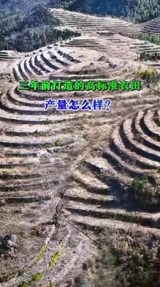 有人敢扯，有人敢信，有人给钱，没有人问！何乐而不为呢！