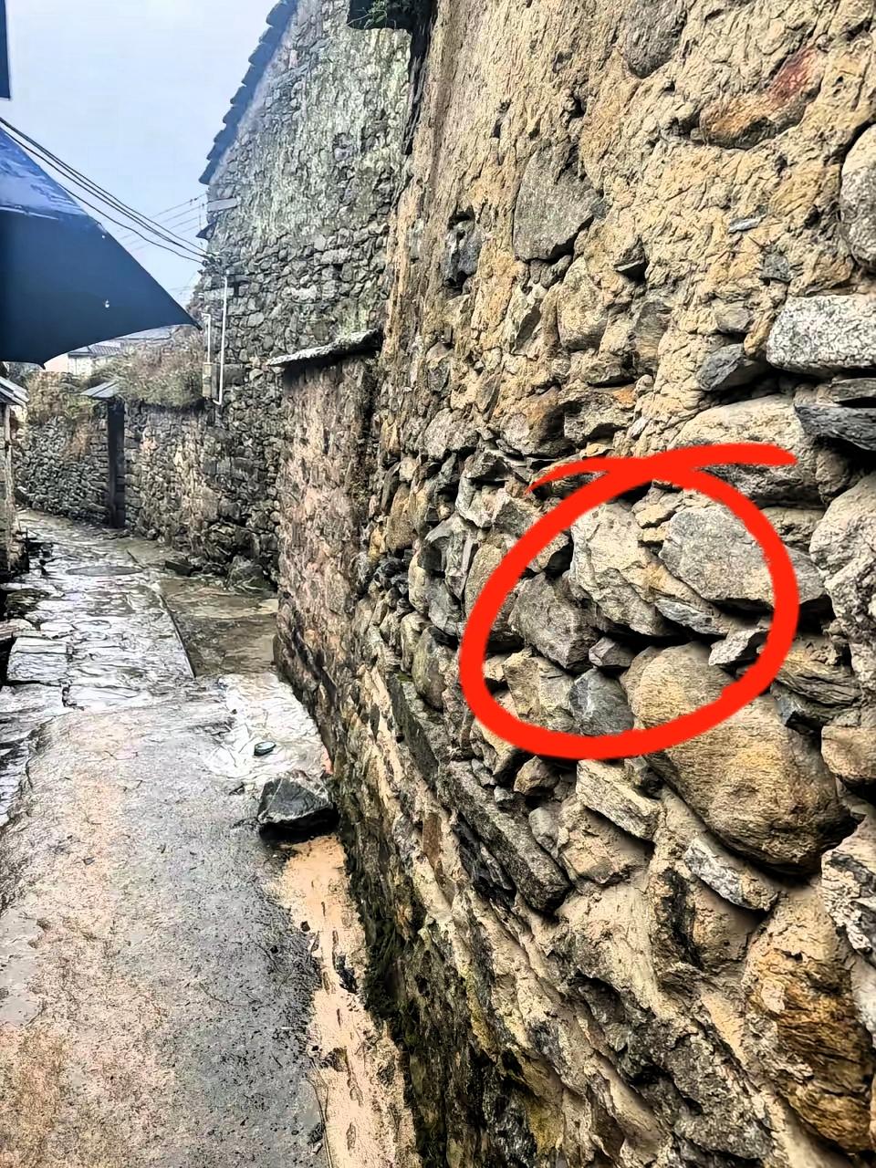 乐乐！你听到姨姨们的呼喊了吗？每一声焦急的呼唤，都藏着全网揪紧的心，这哪是大海捞