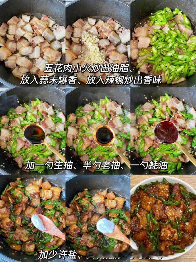 家常菜巨香巨好吃的辣椒炒肉