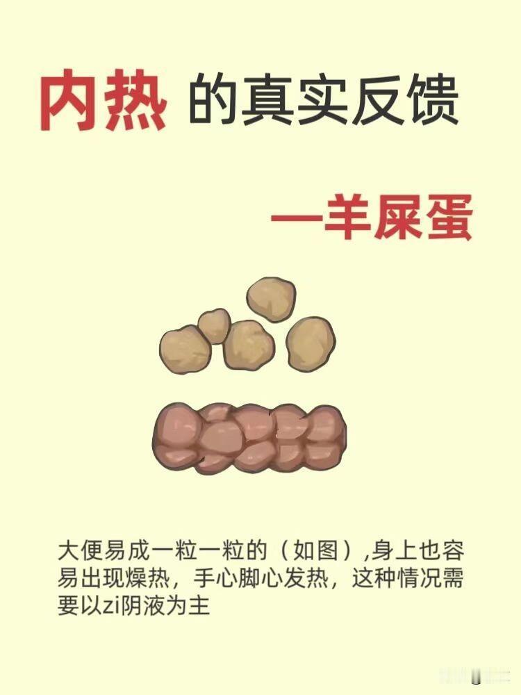 宝宝拉“羊屎蛋”？内热+脾虚是根源，推拿+食疗轻松调✨宝宝大便干成一粒一粒