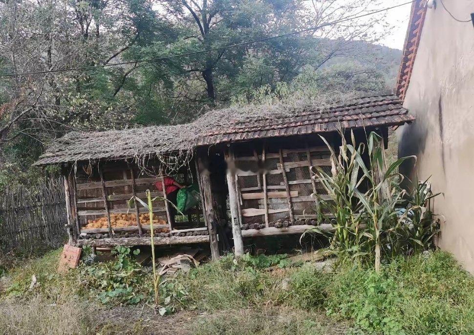 据说这是网红东北雨姐的拍摄基地，早已物是人非