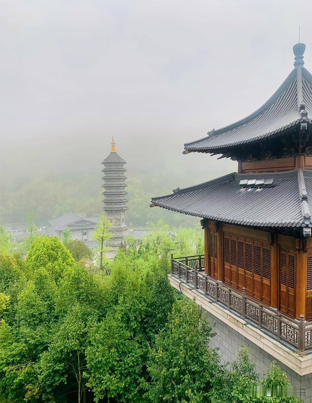 当年走路带风、嗓门亮堂的姑妈，对待亲家却小心翼翼早些年，姑妈和姑父一起开了个