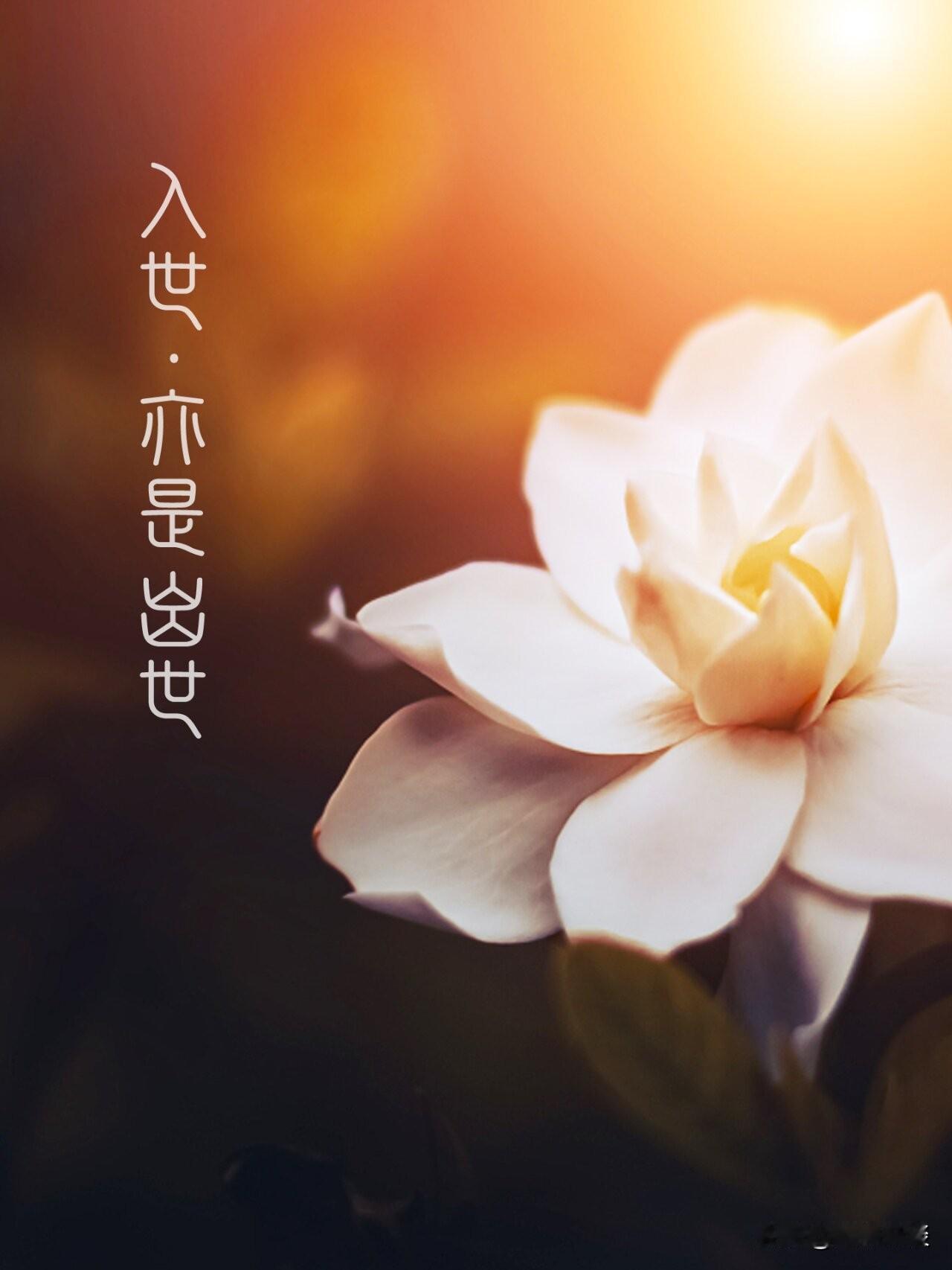 老张今年62岁，前两天拿到体检报告，看着上面密密麻麻的数字和上下翻飞的小箭头，心