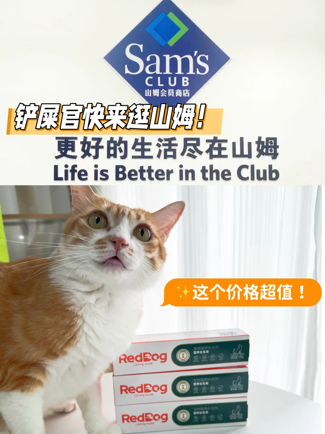 养猫人看过来，在山姆也能买红狗化毛膏啦！