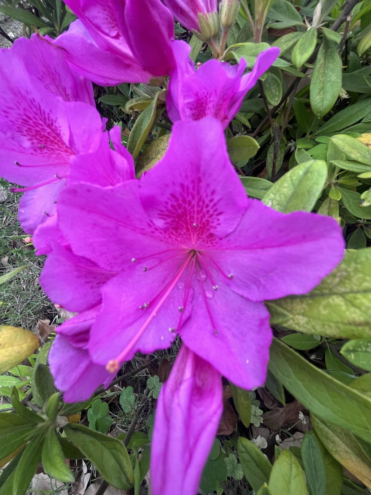 养生的秘决—心药人为什么越养越垮？药吃了，指标查了，身体还是破破烂烂。不