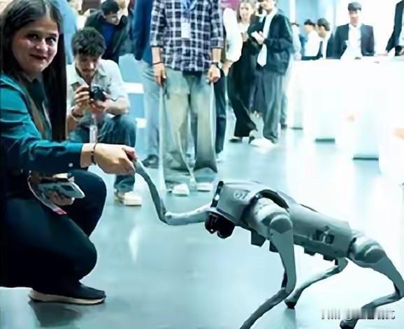 买宇树机器狗冒充自己研发的，印度大学的这一举动确实很亮眼！2月16日，印度电信