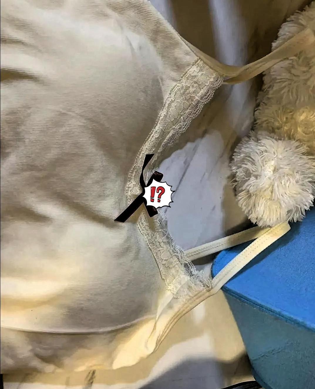 高校清退违规留学生这波操作，真的把“公平”二字焊死在校园里了！别再说留学生