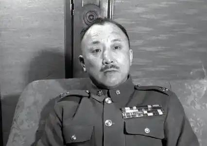 卫立煌是个很神奇的存在！他在东北的时候，消极到了极其夸张的地步，其抗命次数之多，