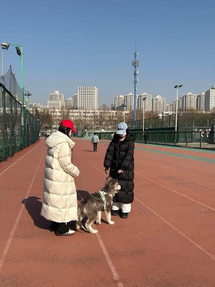 谁在南方0度大早上遛狗啊！是卑微的养狗人！雷打不动的遛狗加绒鞋子，手套口罩，帽子