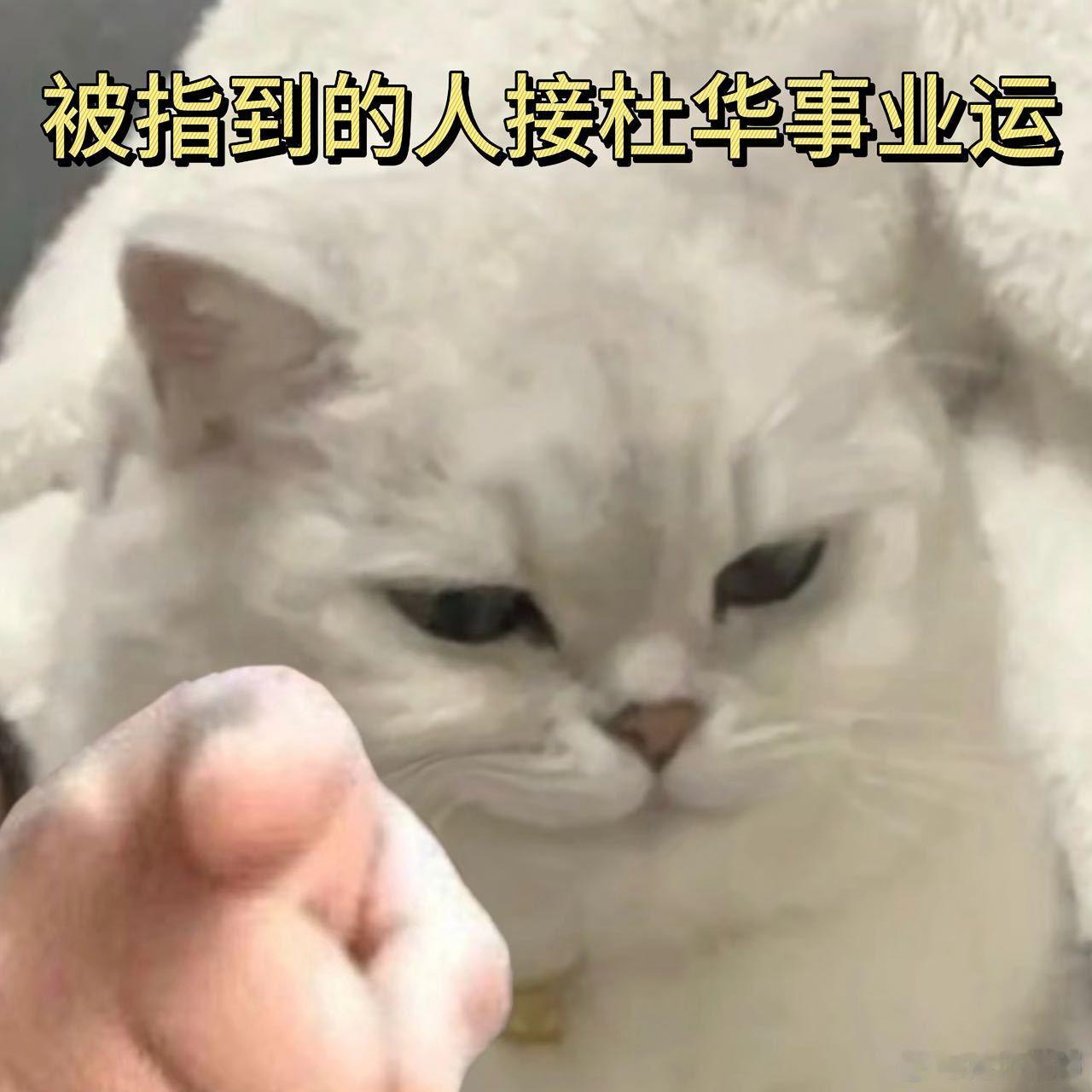 这才是杜华的本业杜华作为乐华娱乐的创始人，推动了无数艺人的成功，从王一博到韩庚