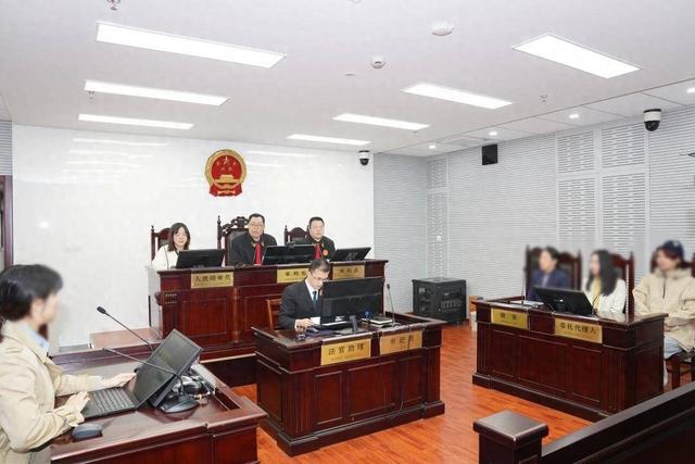 上海首例AI大模型侵权案, 《斗破苍穹》美杜莎被“喂”给AI大模型 法院判侵权