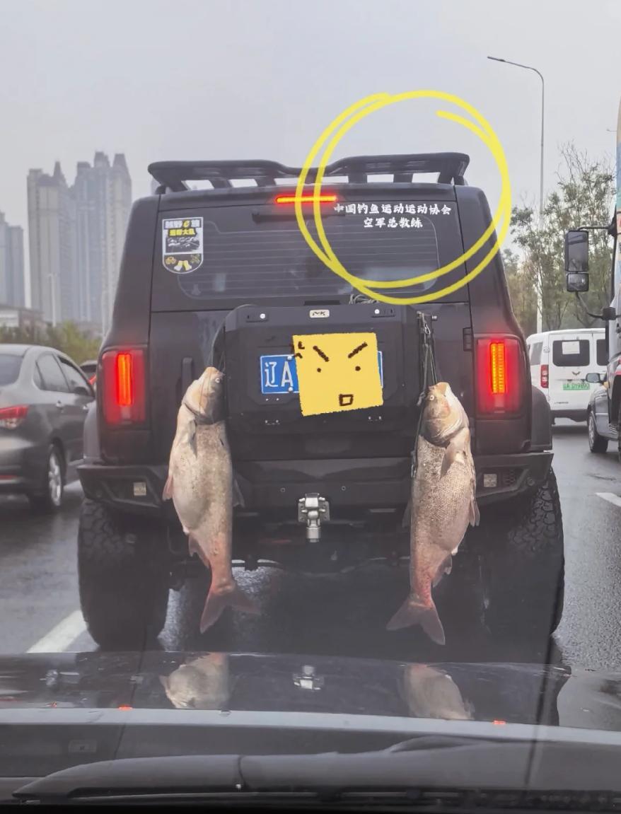 哈哈，这次终于不是空军了！