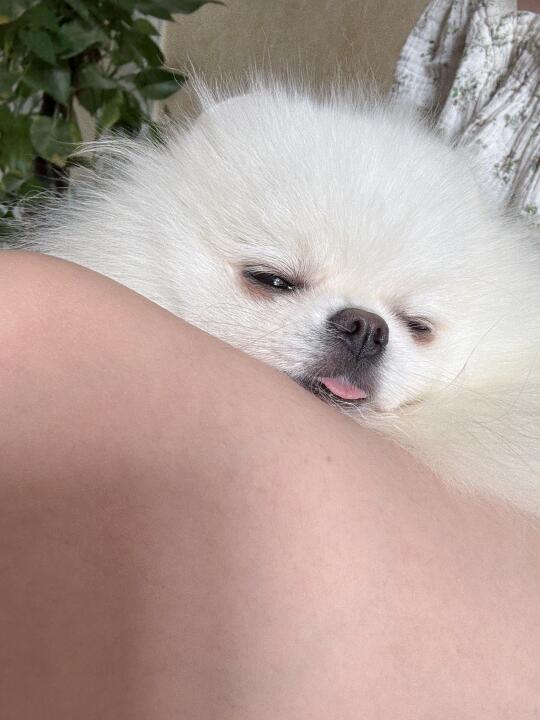 在大腿上睡着的宝宝