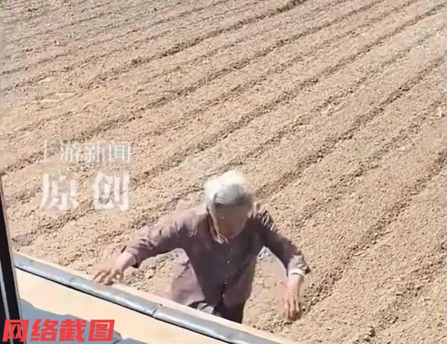 辽宁有九十岁老人还能到田地里干活。此刻老人还有想不到的事令人诧异，原来老人在