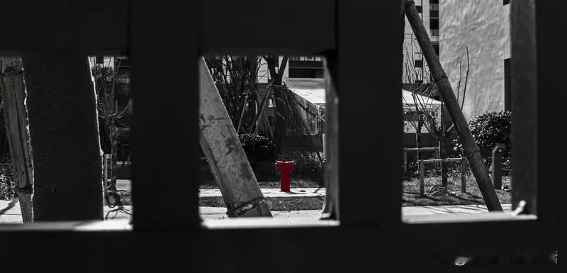 越想赢越易输？“无目的”是顶级高手秘诀！目的性过强会阻碍成功。心理学研究表明，