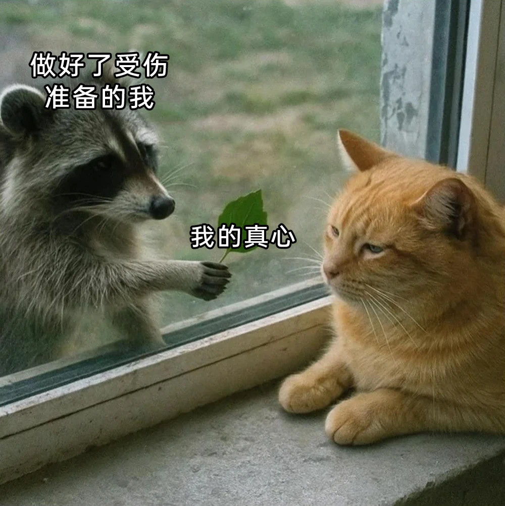 你慢点伤​​​