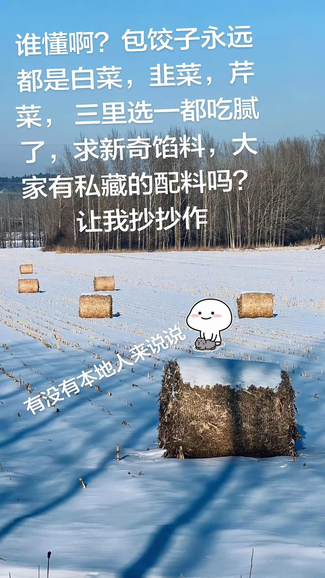 包饺子永远都是白菜，韭菜，芹菜，三里选一都吃腻了，有新招吗