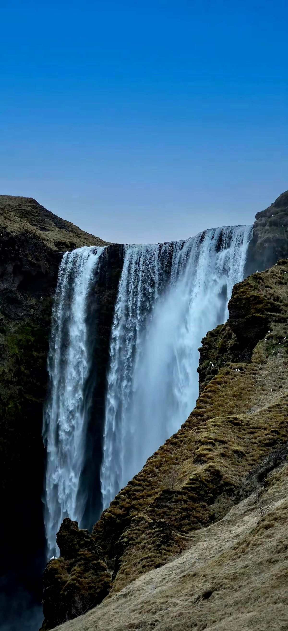 一个男人如果没有实力，没有钱，没有权力，没有本事，女人都会像讨厌一只癞...