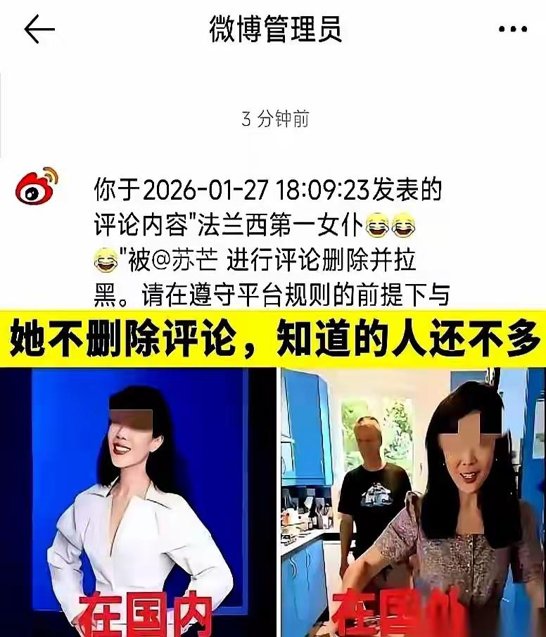 “法兰西第一女仆”，这大概是今年听过最精准、最诛心，也最具黑色幽默的封号，杀伤力
