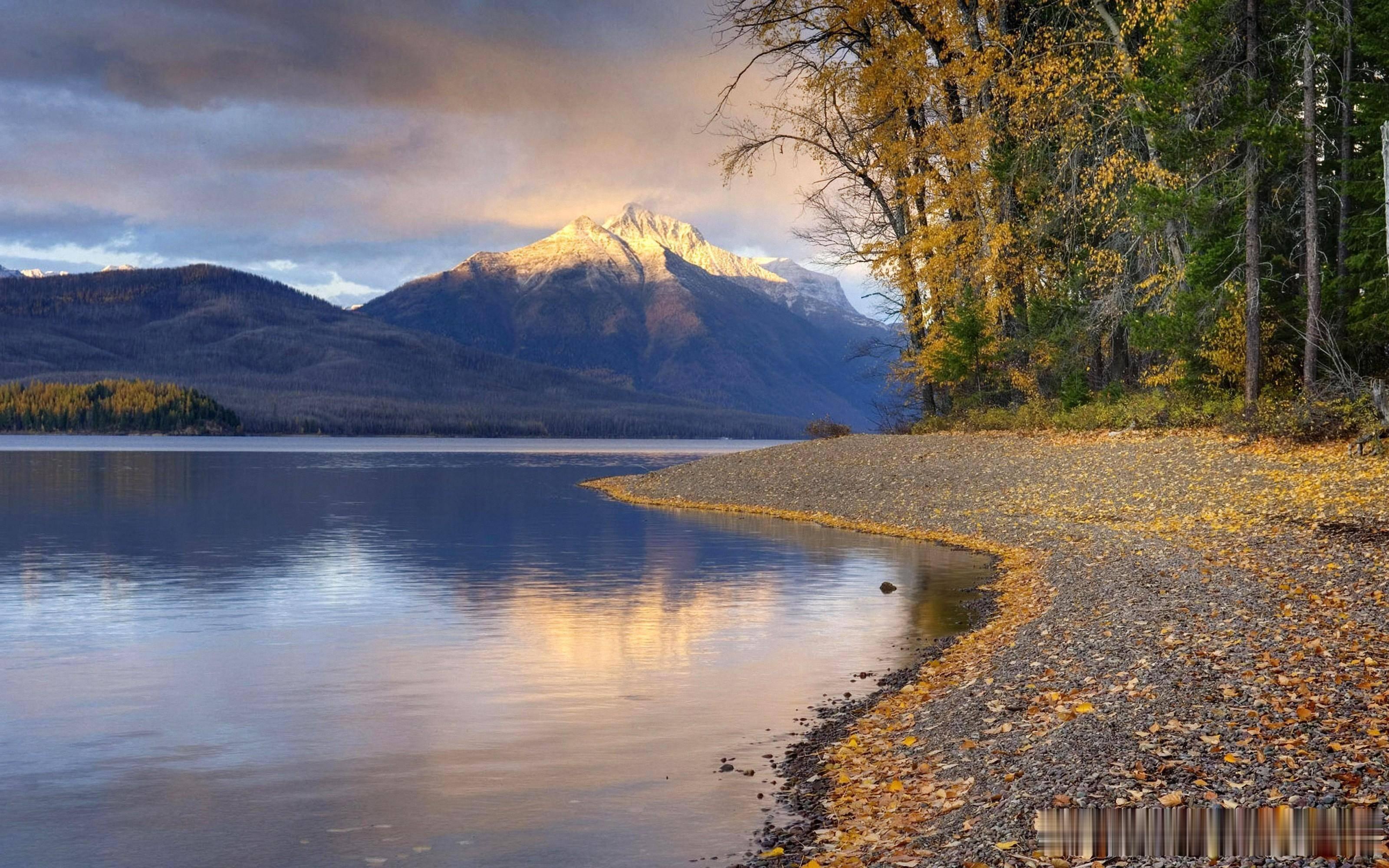 生肖牛厚积薄发，全面开花整体：7日大雪节气后，将步入“六合贵人”之大吉运，运程一