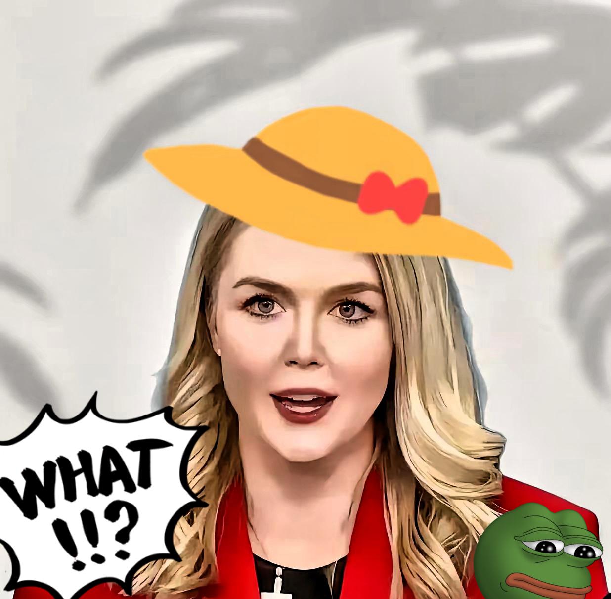 就在刚刚白宫发言人莱维特宣布了​​​​​​​​​11月26日白宫记者会上，