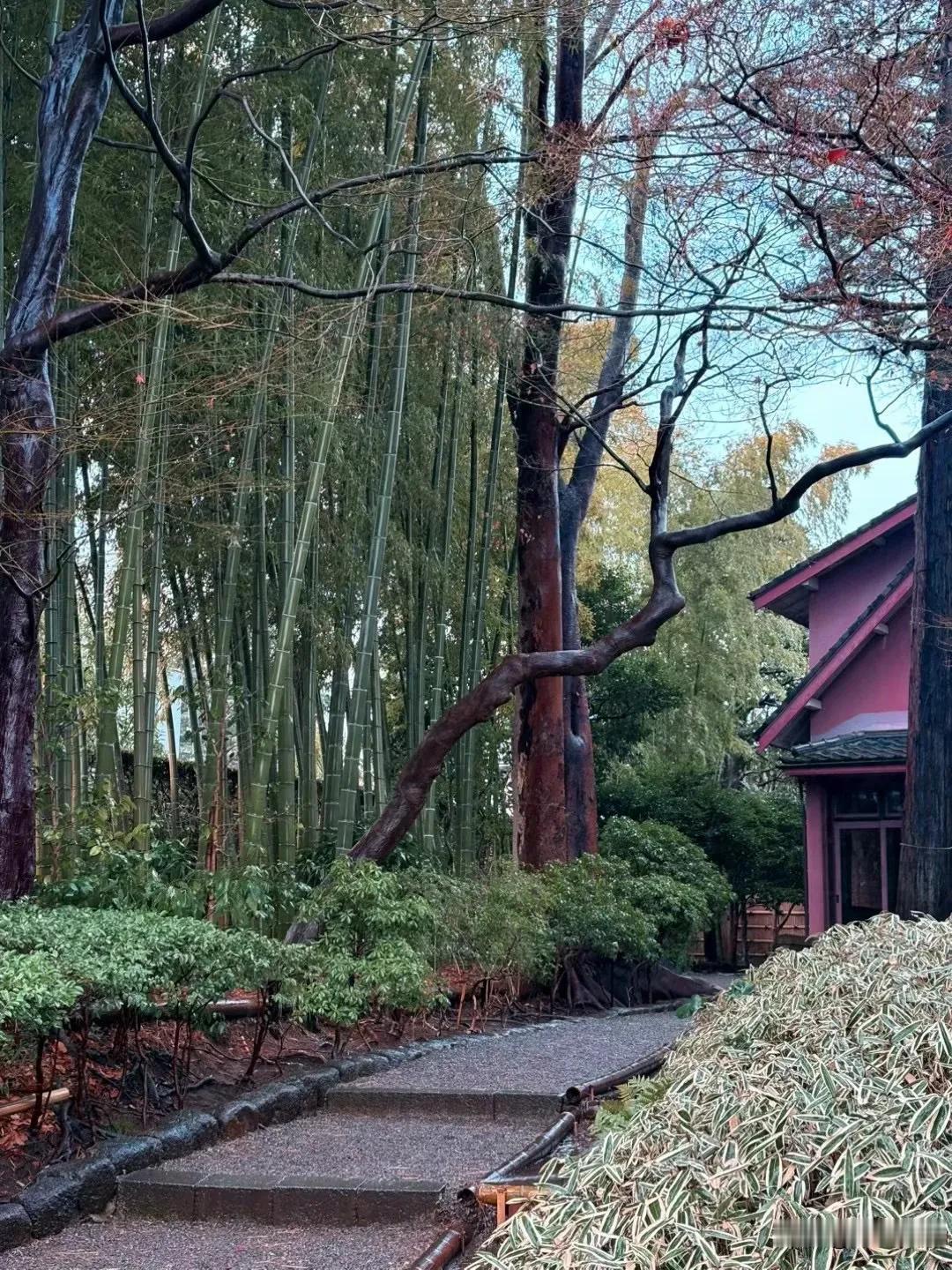 雨水垂落成帘，将庭院裁成模糊的剪影。那些原本灰白的石板此刻都显出了墨色肌理，仿佛