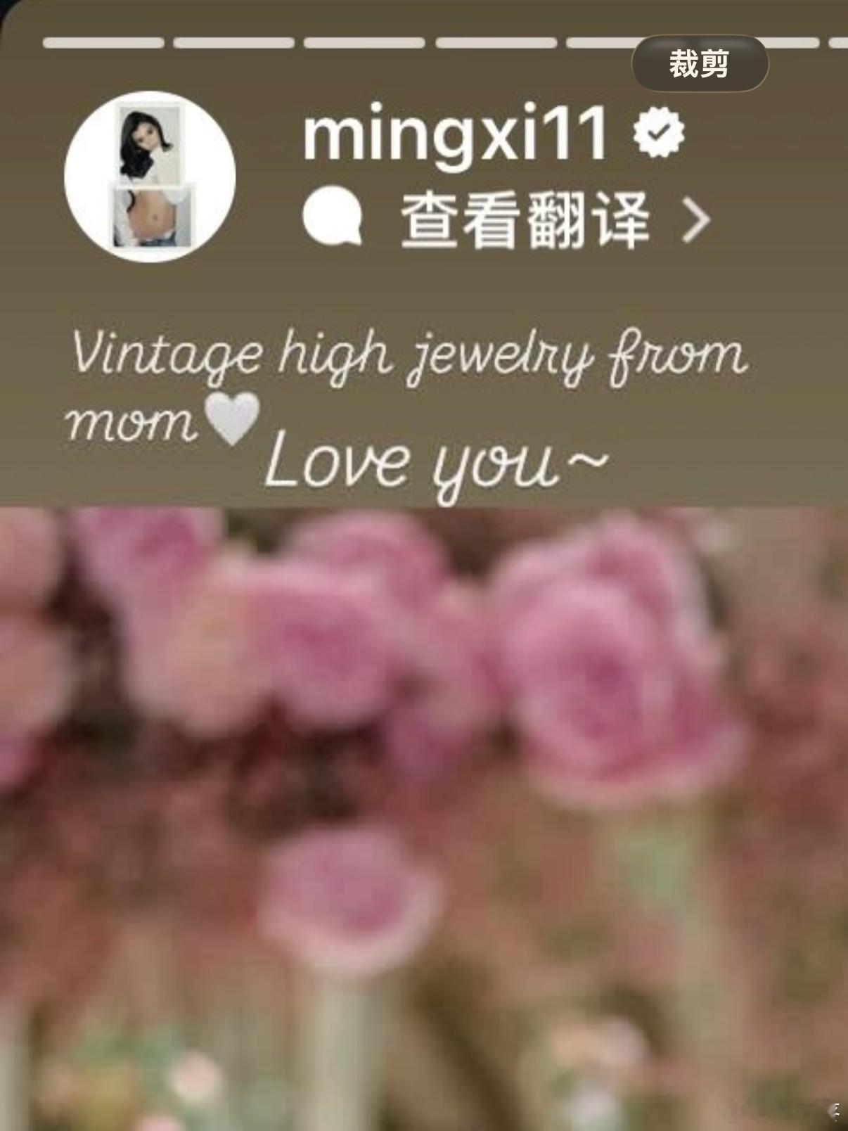 奚梦瑶单独发图感谢婆婆在奚梦瑶最新分享的婚礼相关照片里，有一张奚梦瑶戴头纱的背