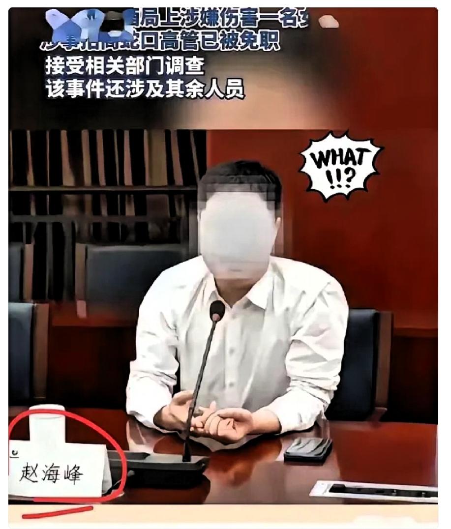 一百万买后悔药！酒醒后的赵海峰，彻底慌了。7月26号晚上，杭州来福士58楼的