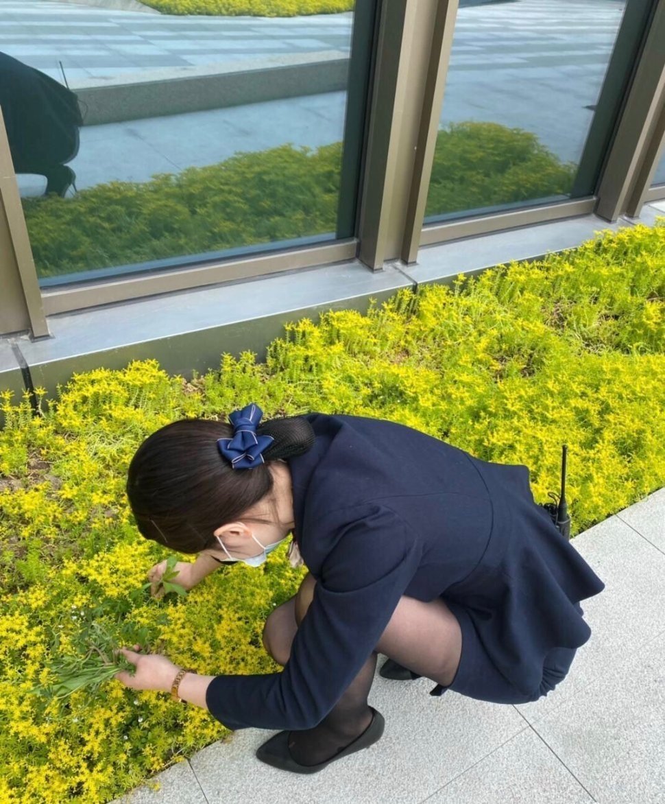 新来的同事，知道她已婚，真的很想和她表白，怎么办？​​​