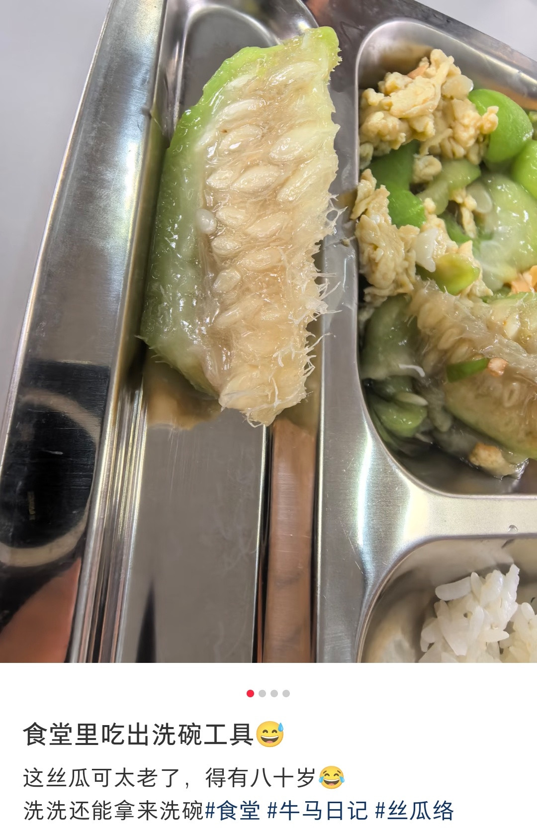 这丝瓜，切的人和做的人，都没觉得不对劲吗