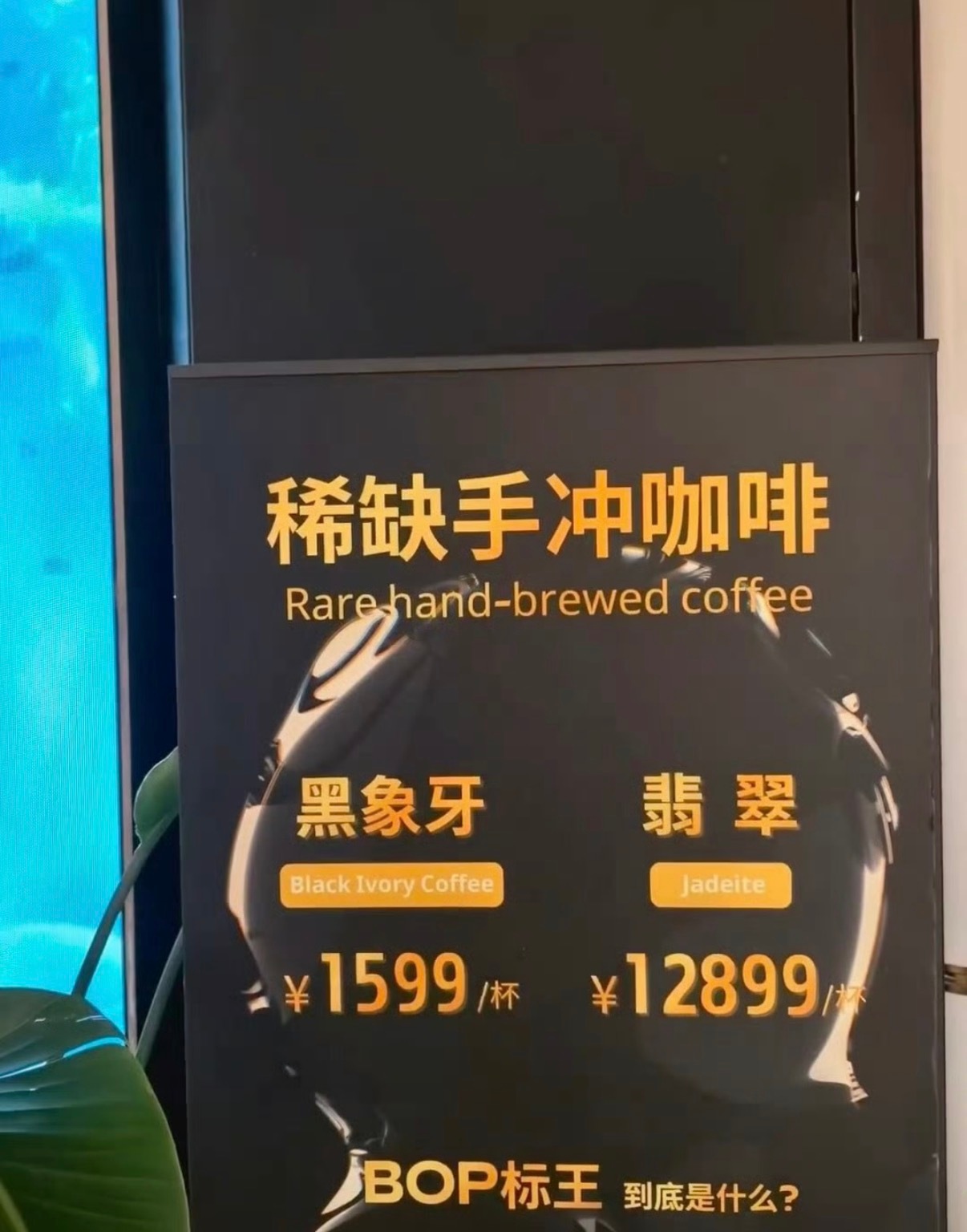 上海12899元咖啡又一次刷新了认知的鸿沟门店：咖啡豆全球限量20公斤，每杯仅