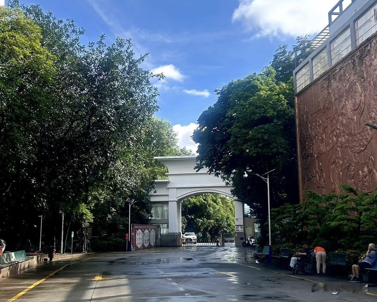 （1332）：孩子，早上好。凌晨时分又梦到你，这次是我们一块去养老院看望一个奶奶