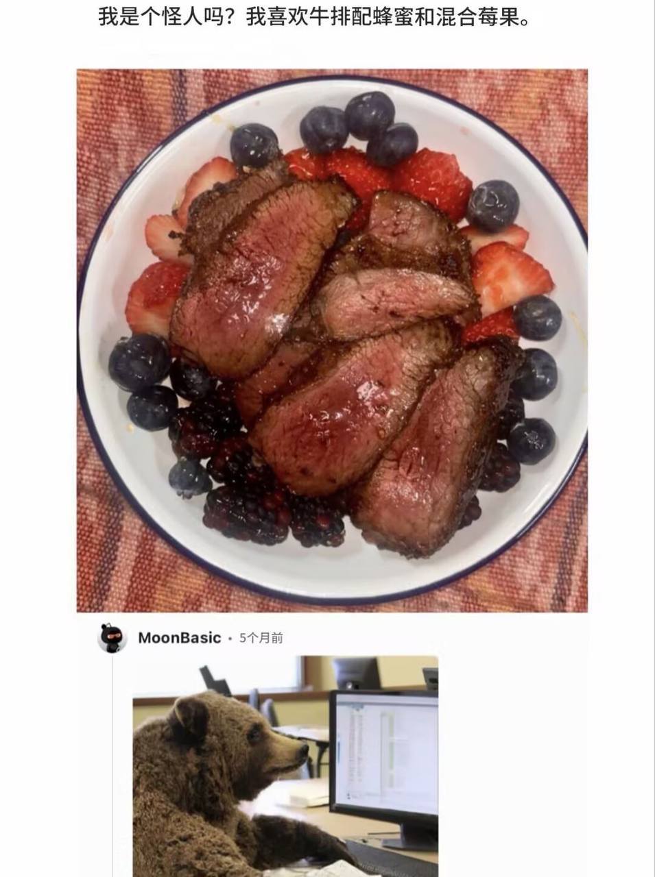 棕熊也能上网了