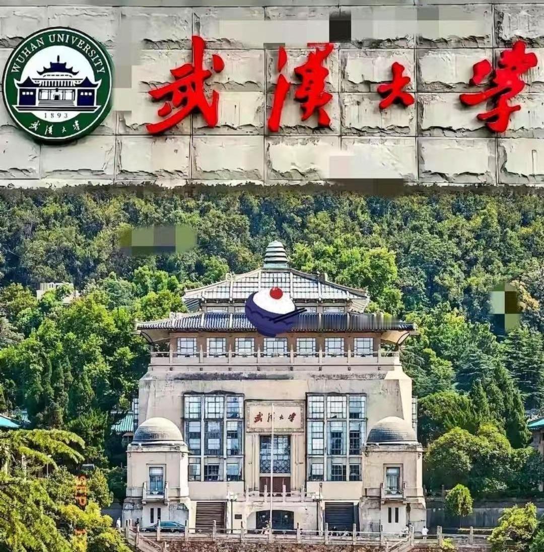 杨景媛告母校武汉大学，结果自己输了。法院的判决很直接，驳回她全部诉求。这事儿