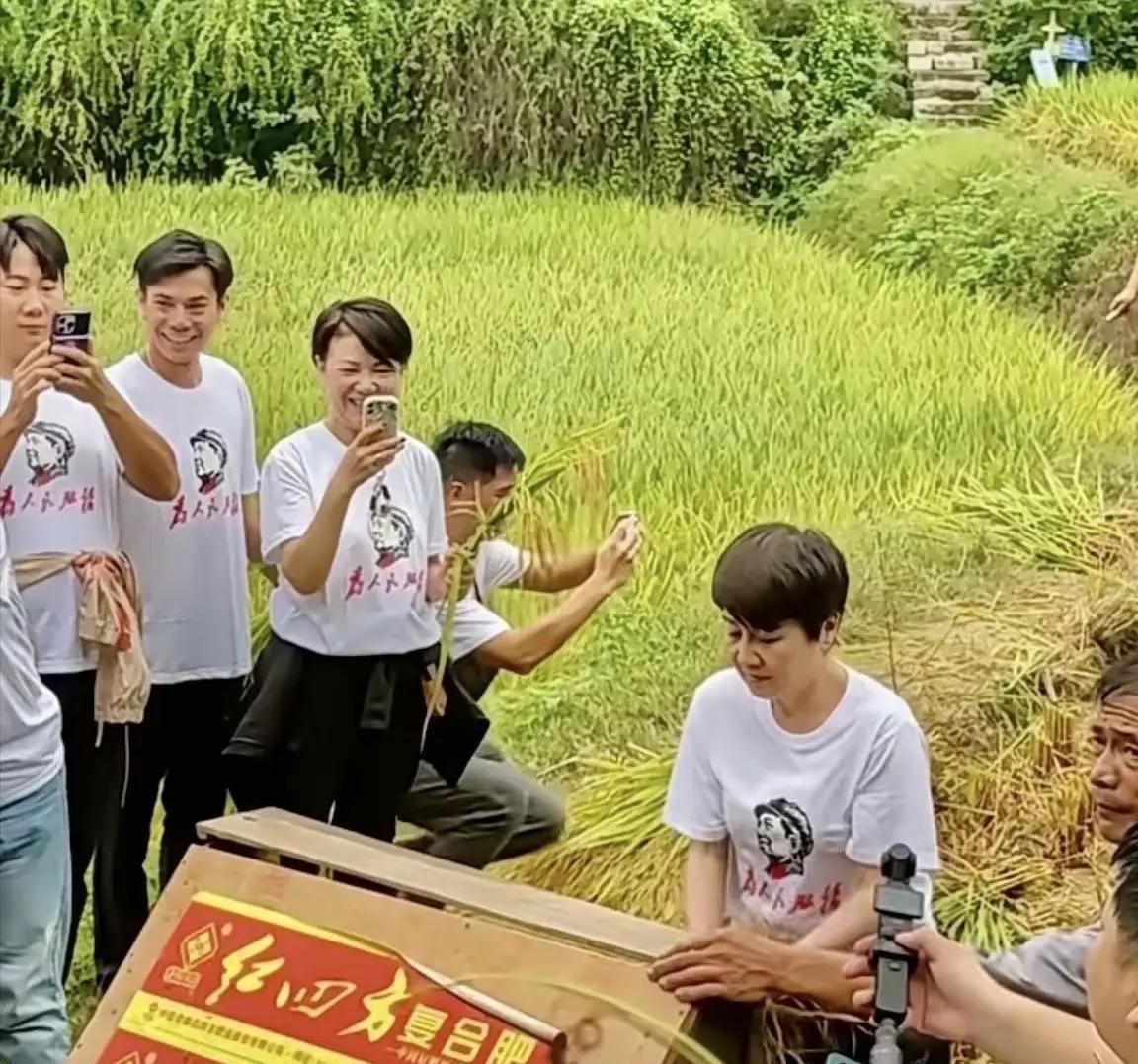 你能信？身家三百多亿的赌王四太梁安琪，跑去湖南韶山打稻脱粒啦！9月28日，港媒曝