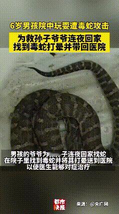 救命！6岁娃院子玩耍突遭毒蛇攻击，左手被咬，胳膊迅速变黑，情况危急！
