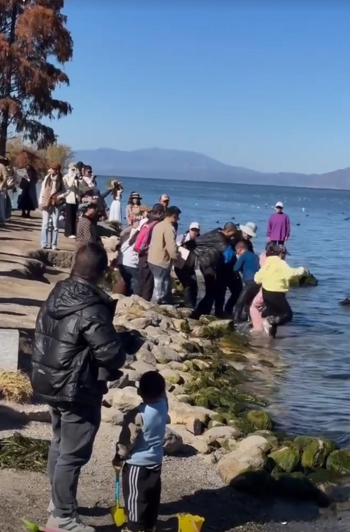 一群游客在大理龙龛码头游玩，为了抢夺拍照位置，一群人打了起来。五六个人直接站在
