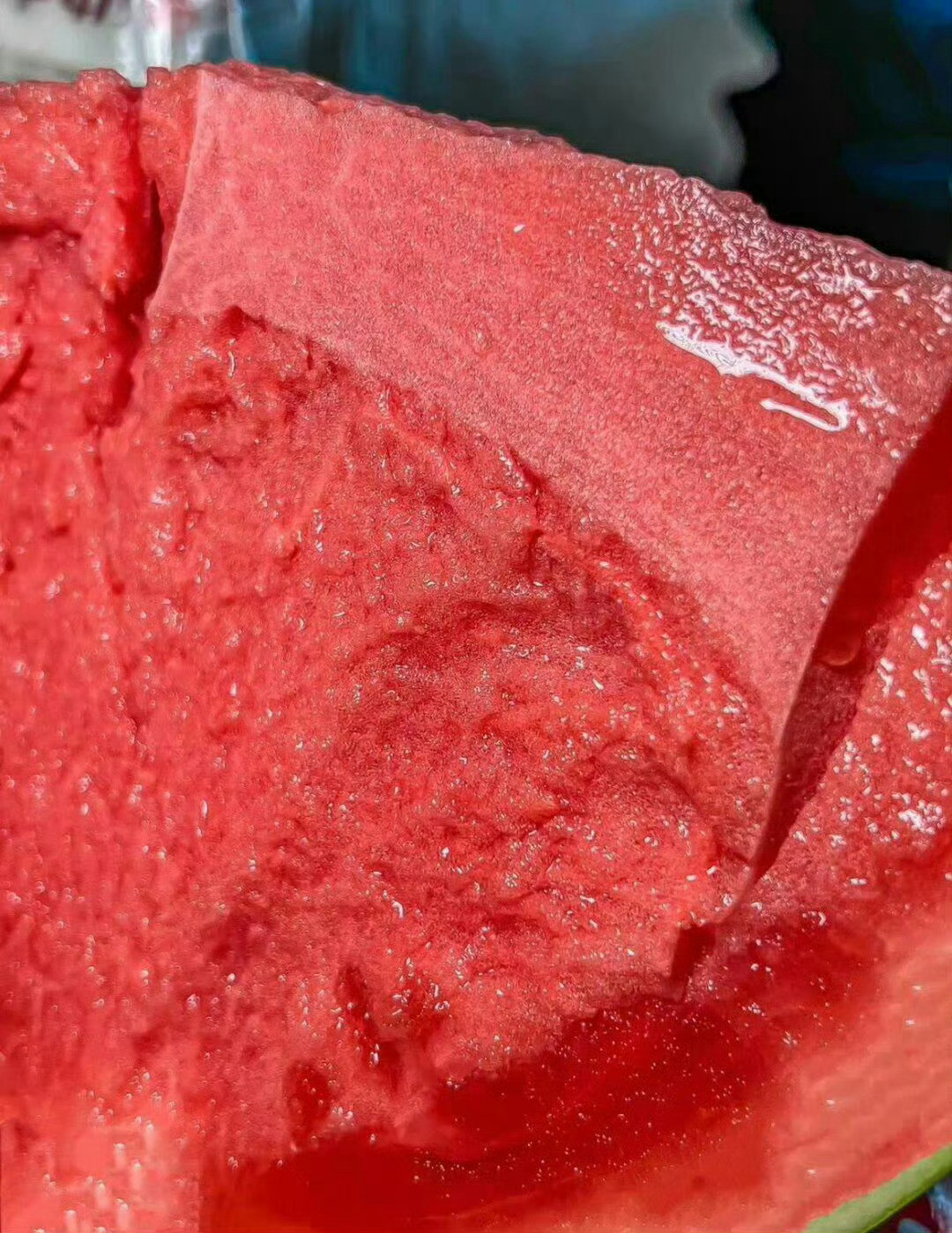 传说中的报恩西瓜🍉