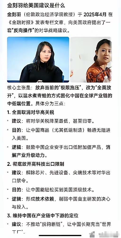 金刻羽给美国提的对付中国的建议，中美双方一致认定她是对方的间谍。