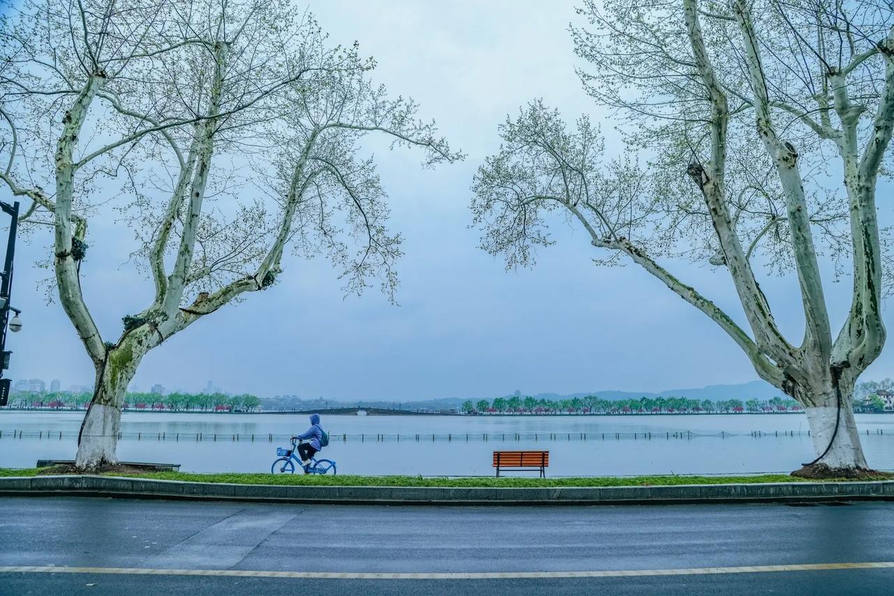 如果你做什么事情都啰里八嗦的，大概率你们家孩子的学习成绩不行。因为我见过了很多优