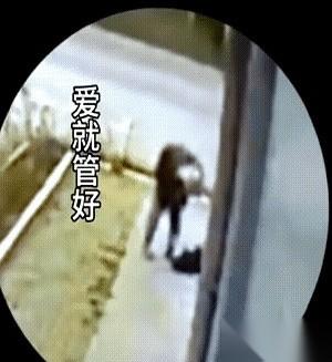 牵狗的那位，估计脑子里还响着BGM呢，压根没反应过来。大爷一抬腿，一跺脚。世