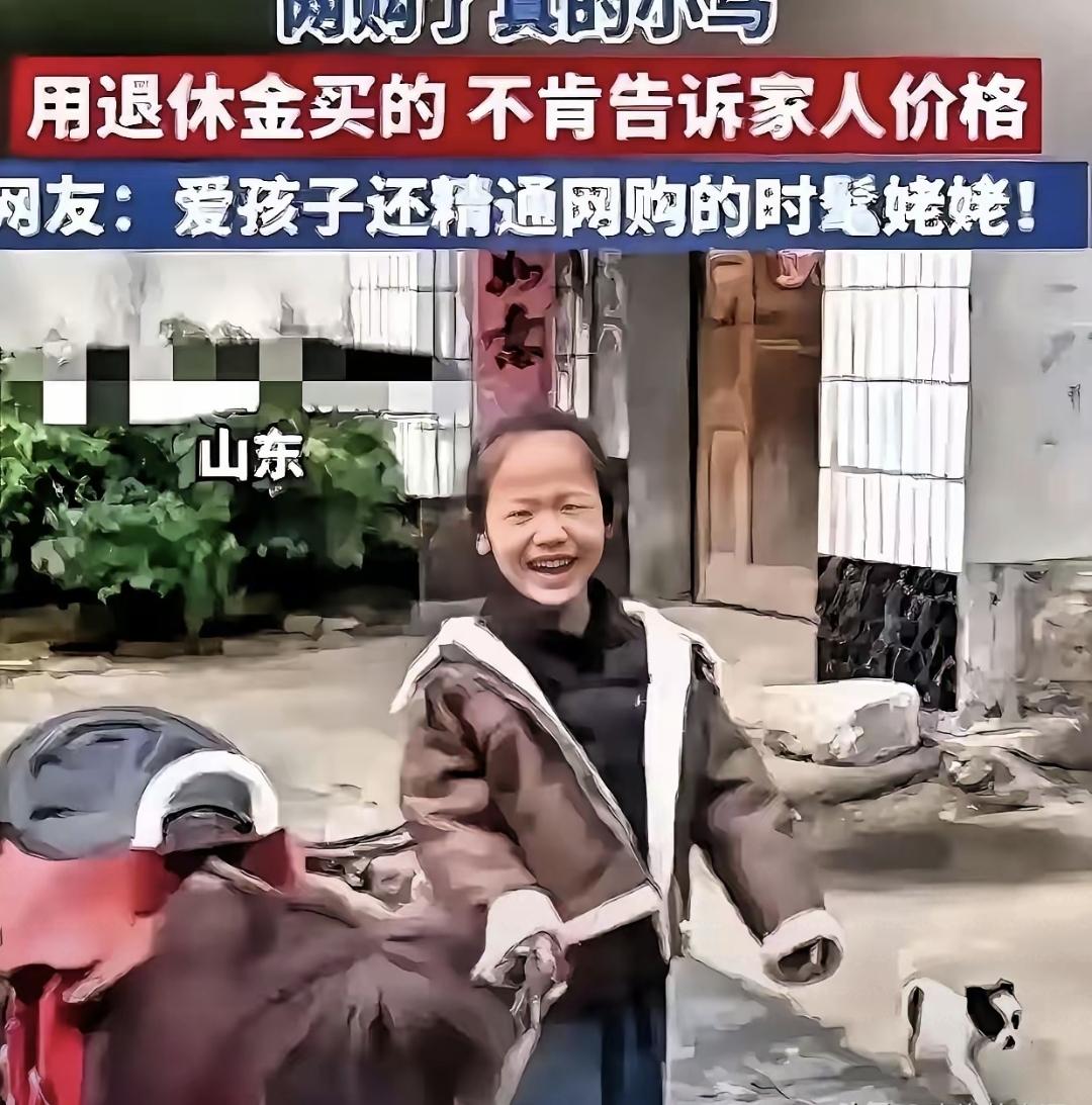 甜甜随口说想要一匹小马，姥姥真去网上买了。不是玩具，是活的设特兰矮马，身高不到8