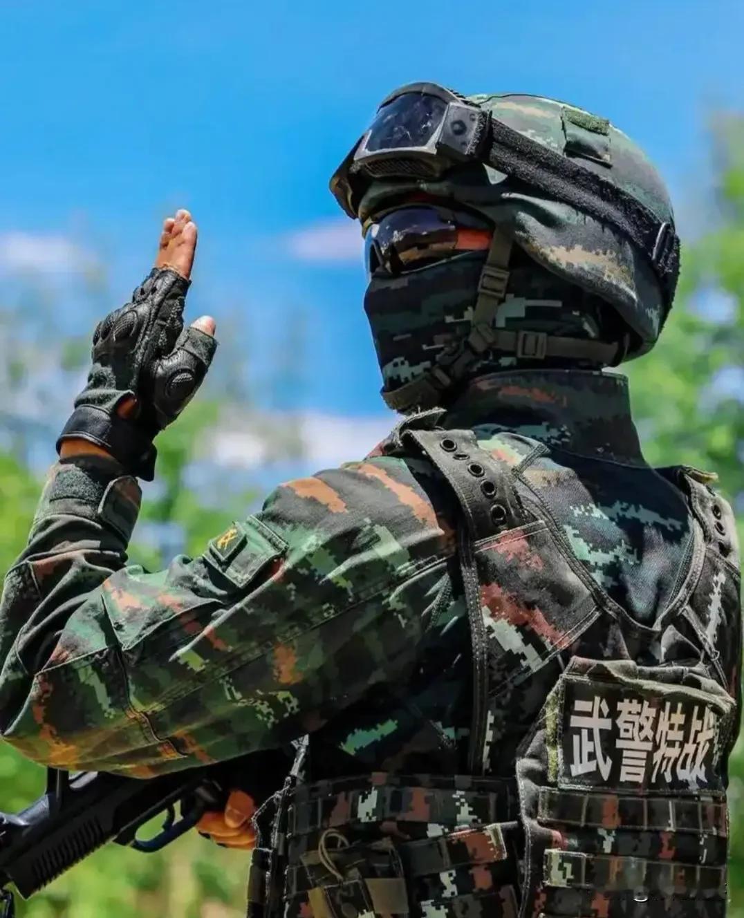 请问：武警属于警察还是解放军？答：武警既不属于警察，也不属于解放军，而是
