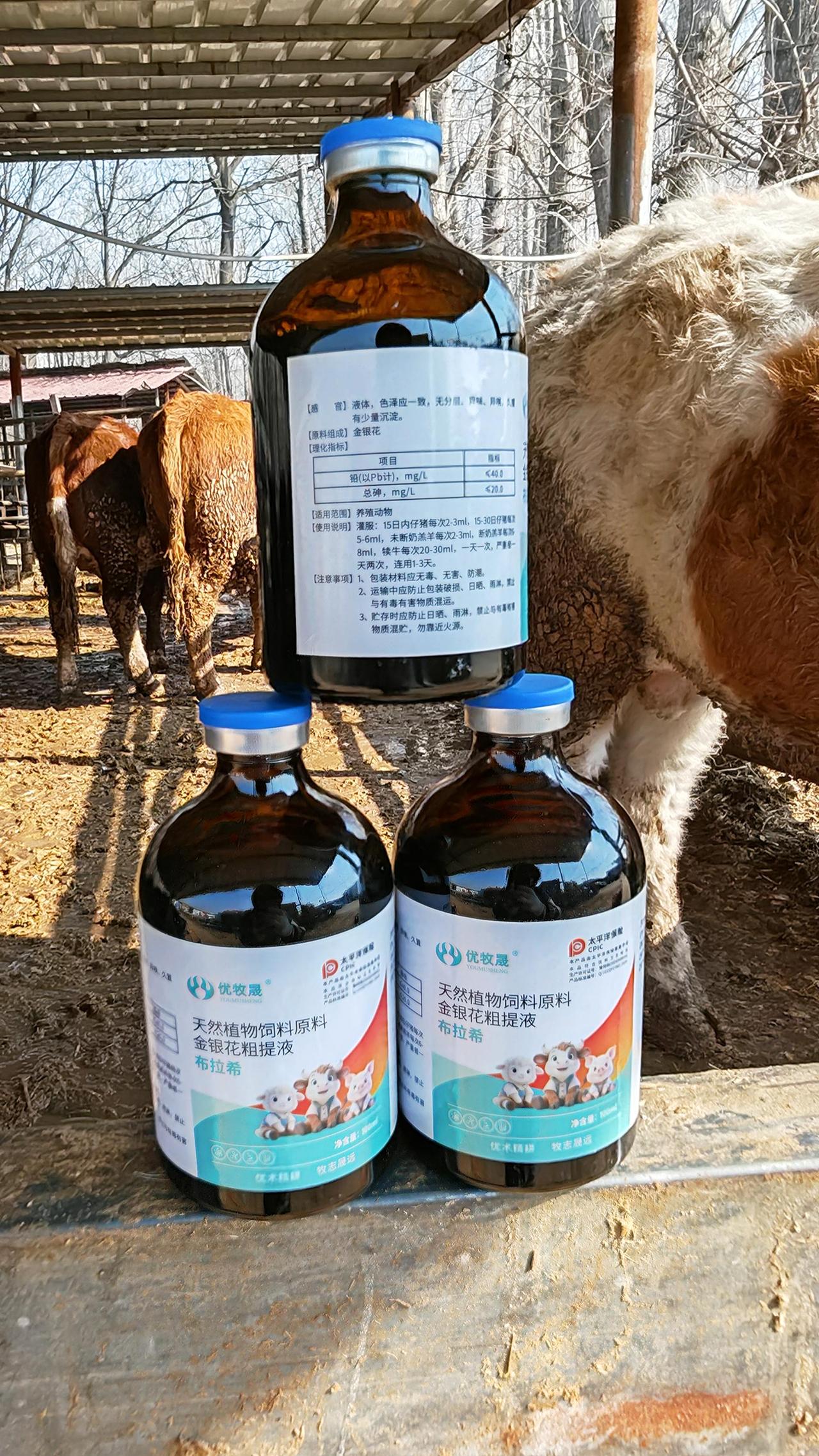 养牛人牛羊养殖农村养羊