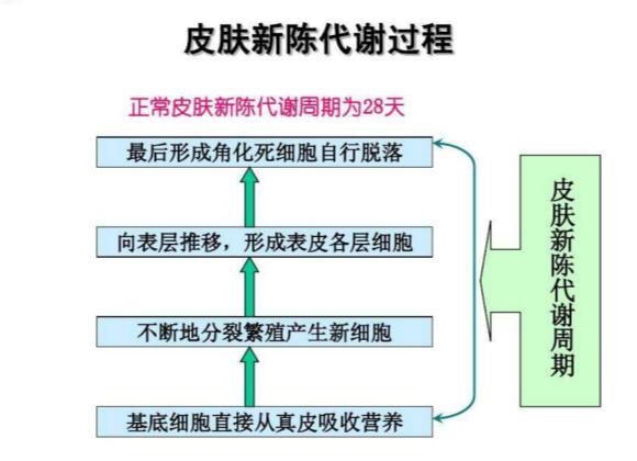 激素脸会自愈的吗? 激素脸怎么治愈。