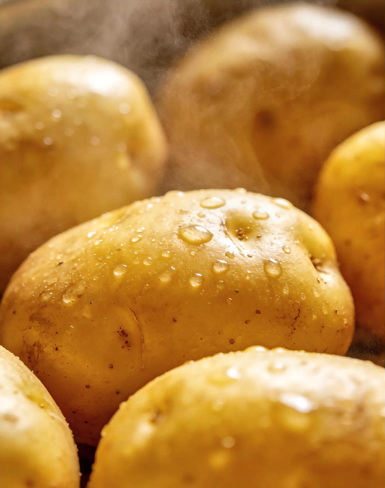 别小看土豆！既是平民菜，也是养生宝土豆是餐桌上最接地气的食材，便宜、耐放、