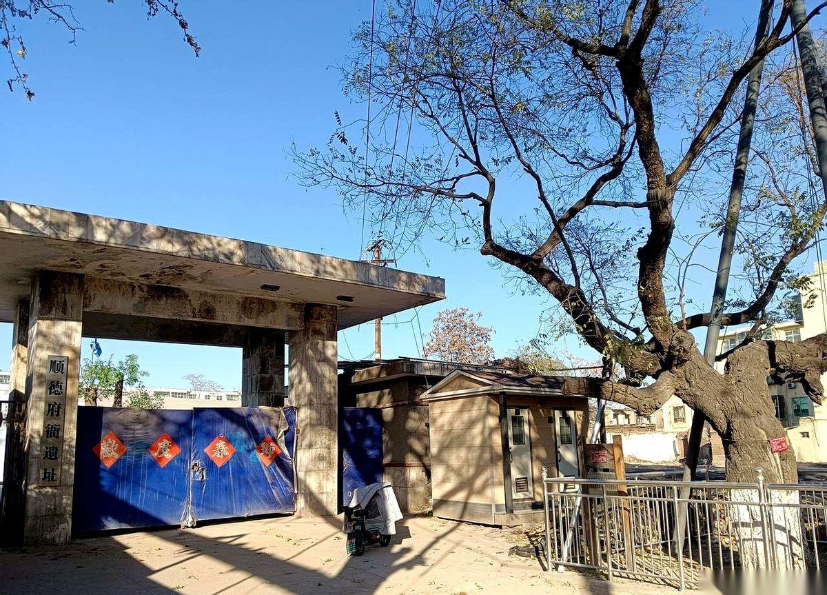 晚上十点，准时熄灯。为啥？为了让老鼠，都能在古城的墙根儿底下，安安稳稳地谈个