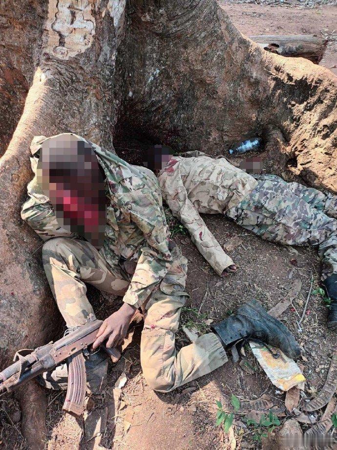 俄罗斯PMC“瓦格纳”雇佣兵近期在中非共和国的一次军事行动：2025年12月28