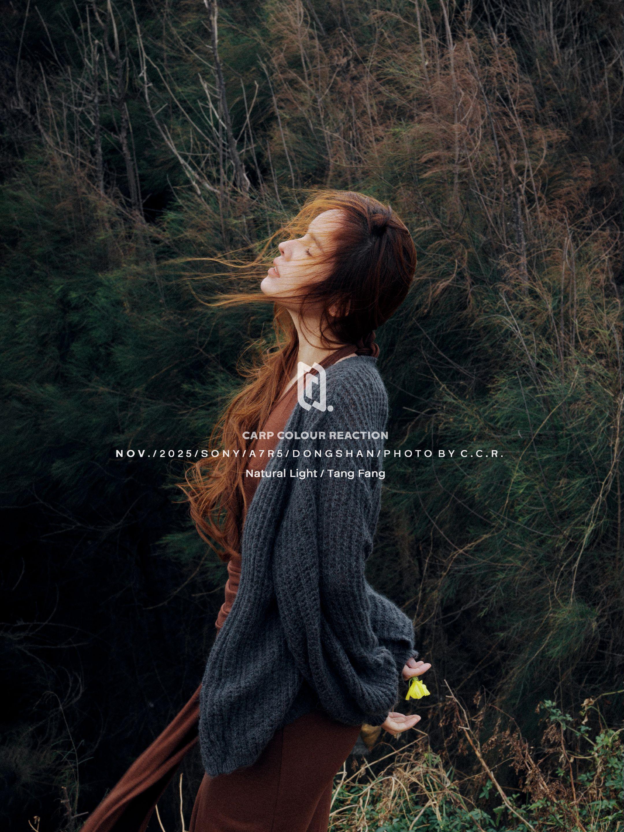 摄影师从来不挑出片的地方！摄影攻略： 因为有风，东山岛海边路边的树林都...