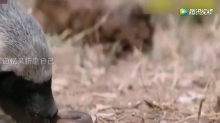 3597128879919865296.jpg?id=0